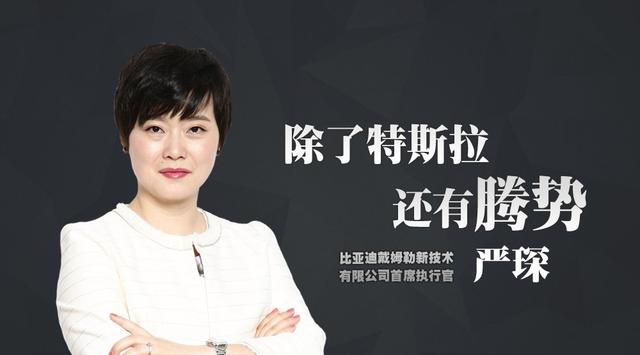 腾势美女CEO严琛