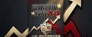 小米财报数字很漂亮，为什么股价却下跌？